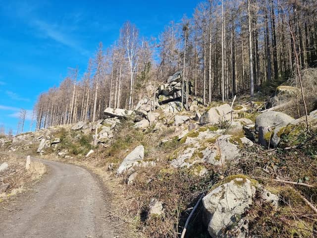Sichelstein - Image 1