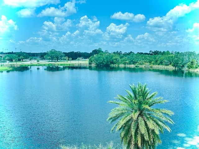 Clear Lake - Image 1
