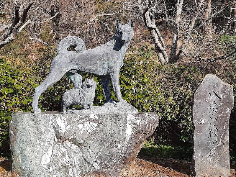 Yatsufusa Park (Statue of Yatsufusa and Tanuki) - Image 1