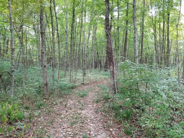 Franklin County Metro Parks - Image 1