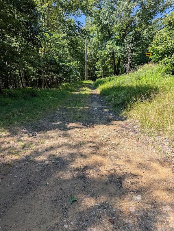 Panthers Caves (parking area) - Image 3