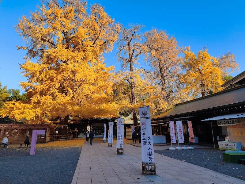 男銀杏(大宮八幡宮) - Image 1