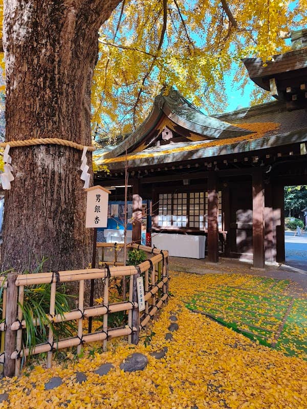 男銀杏(大宮八幡宮) - Image 2