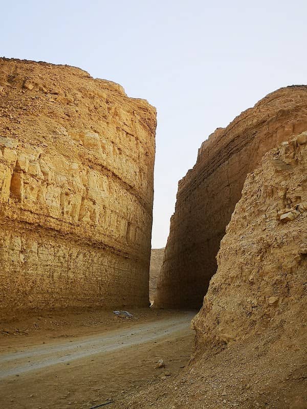 Ammaria cleft - Image 1
