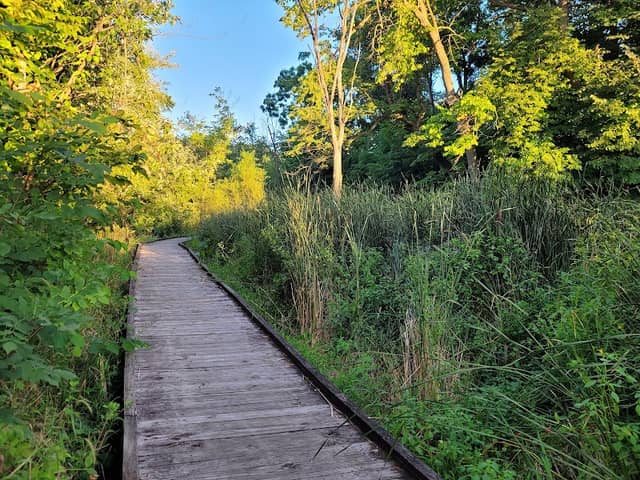 Coffee Creek Park - Image 2