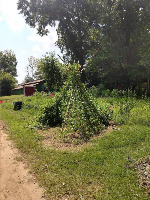 Jeremiah's Community Garden - Image 1