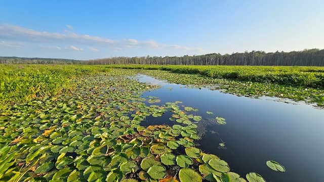 Round Lake Preserve - Image 2