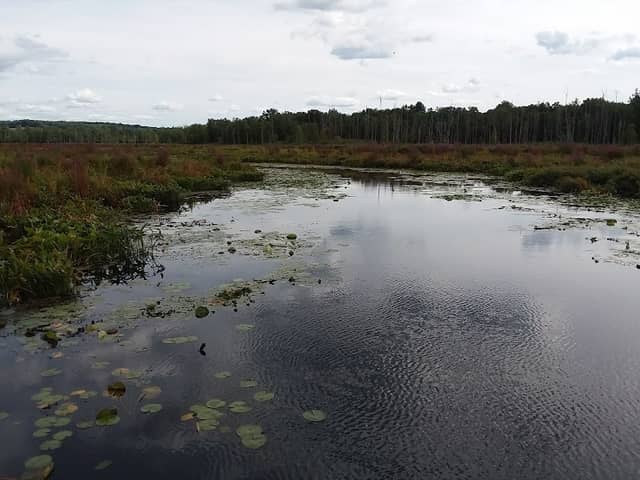 Round Lake Preserve - Image 1