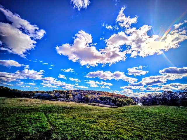 Nelson's Field - Image 2