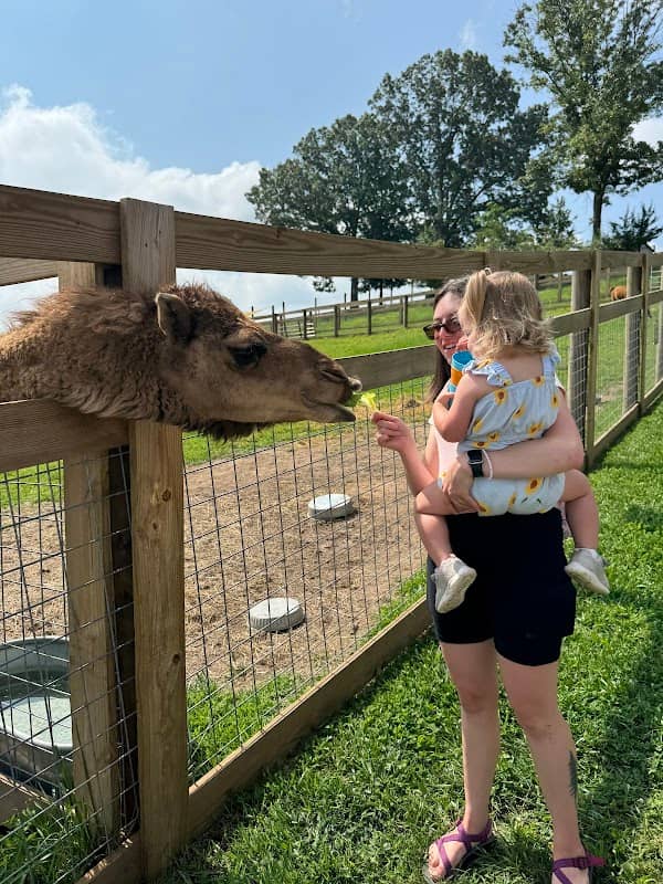 Mitchell's Petting Zoo & Exotics - Image 1