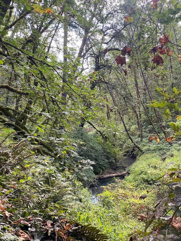 Hide-A-Way Park - Image 2