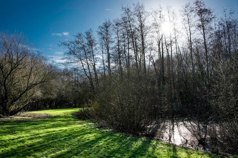 Watchmoor Nature Reserve - Image 1