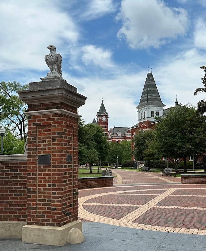 Toomer's Corner - Image 2