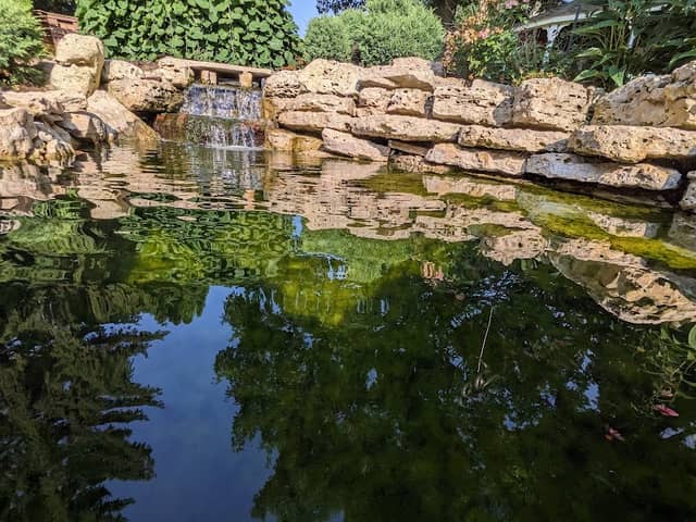 Shambeau Pond - Image 1