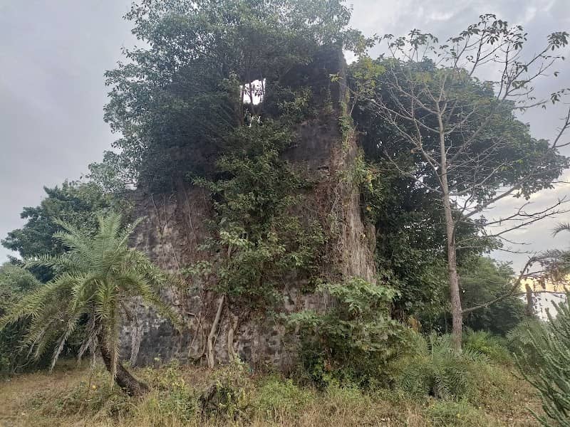 ASANGAON KOT - Image 1