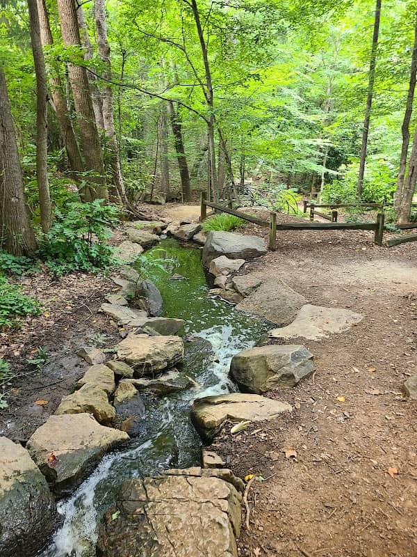 The Bog Garden at Benjamin Park - Image 3