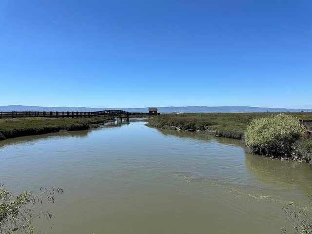 San Francisco Bay National Wildlife Refuge Complex - Image 2