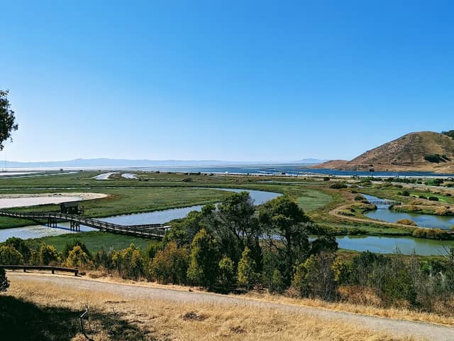San Francisco Bay National Wildlife Refuge Complex - Image 3