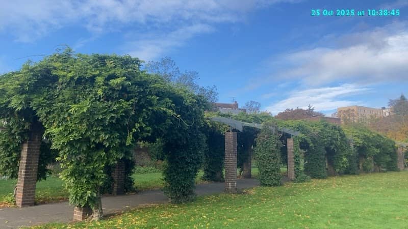 Floral Arch Walkway - Image 2