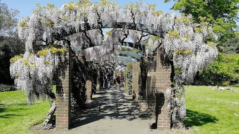 Floral Arch Walkway - Image 1
