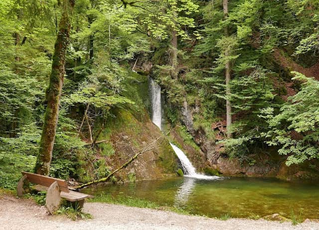 Mußbachfall - Image 1