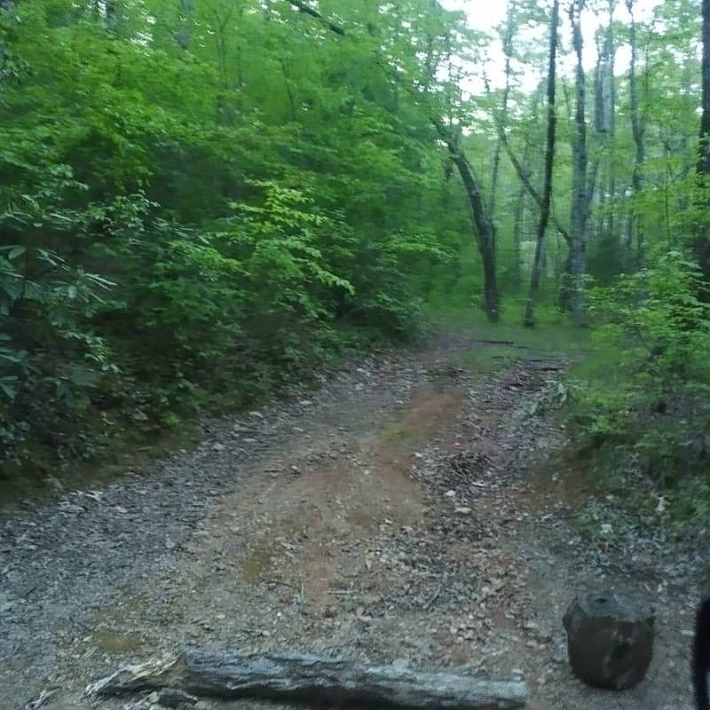Cochrans Creek Trailhead - Image 2