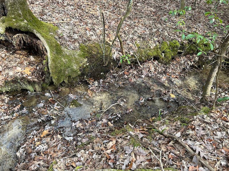 Cochrans Creek Trailhead - Image 1