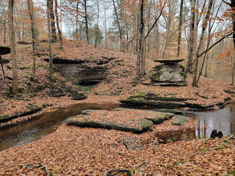 Glenrock Branch - Image 1
