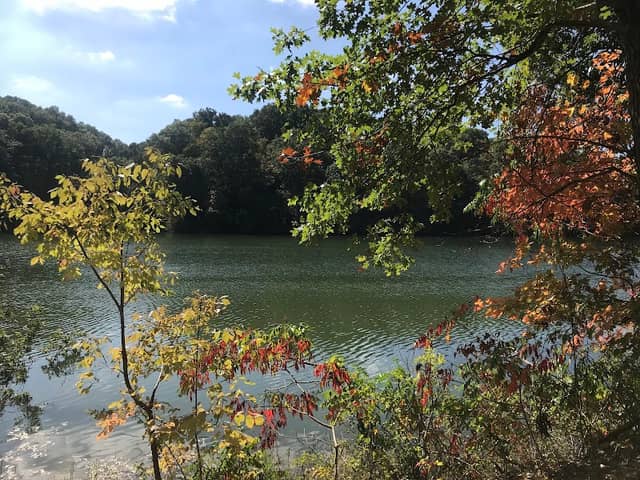 Griffy Lake Nature Preserve - Image 2