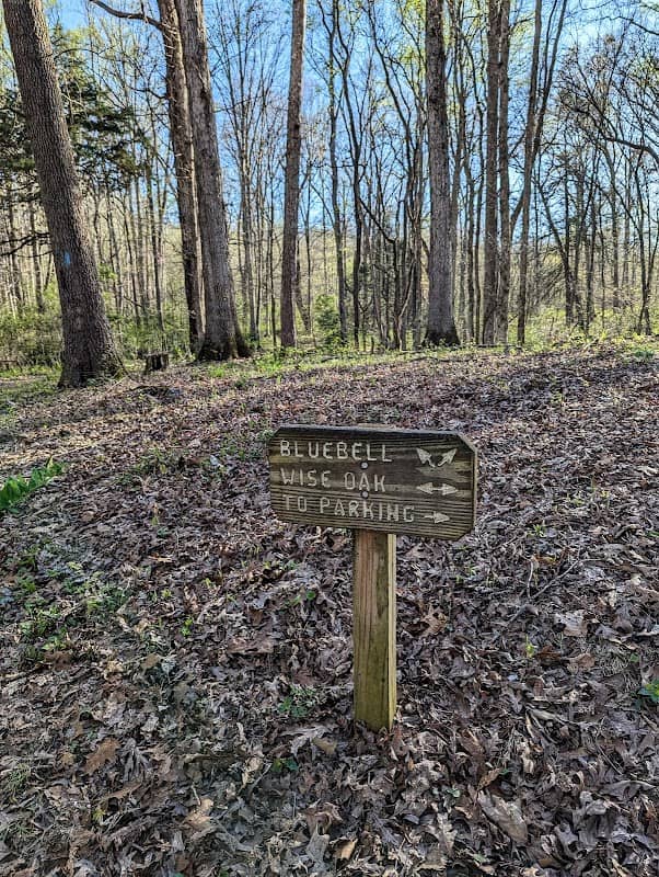 Winged Deer Park - Image 1