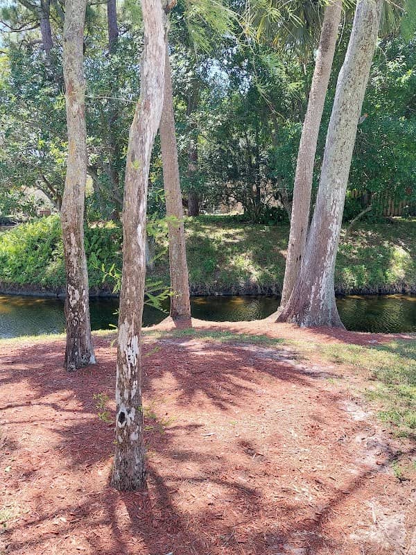Donaldson Park - Image 1