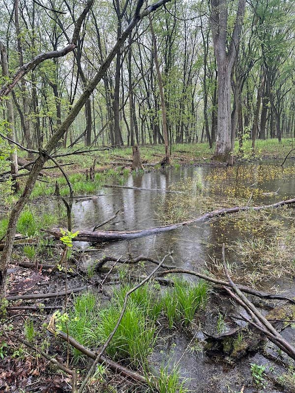 Helm Woods Forest Preserve - Image 1