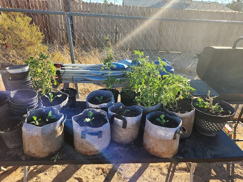 Nanna's Homestead Inc - Image 2