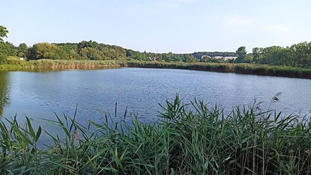 Mała wieża widokowa za stawem (2/3) - Image 1