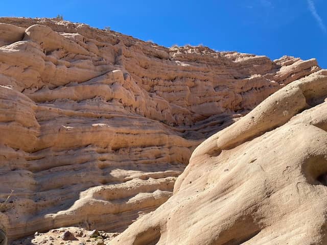 Whiting Ranch Wilderness Park - Image 2