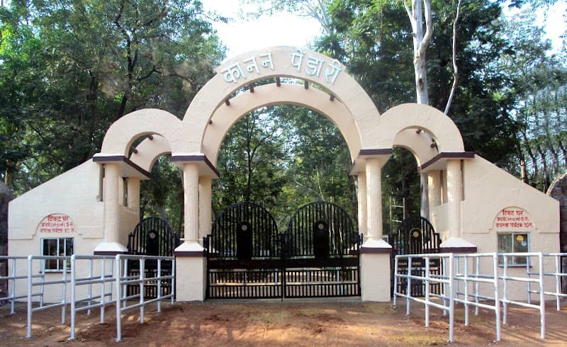 Kanan Pendari Zoological Garden, Bilaspur - Image 1