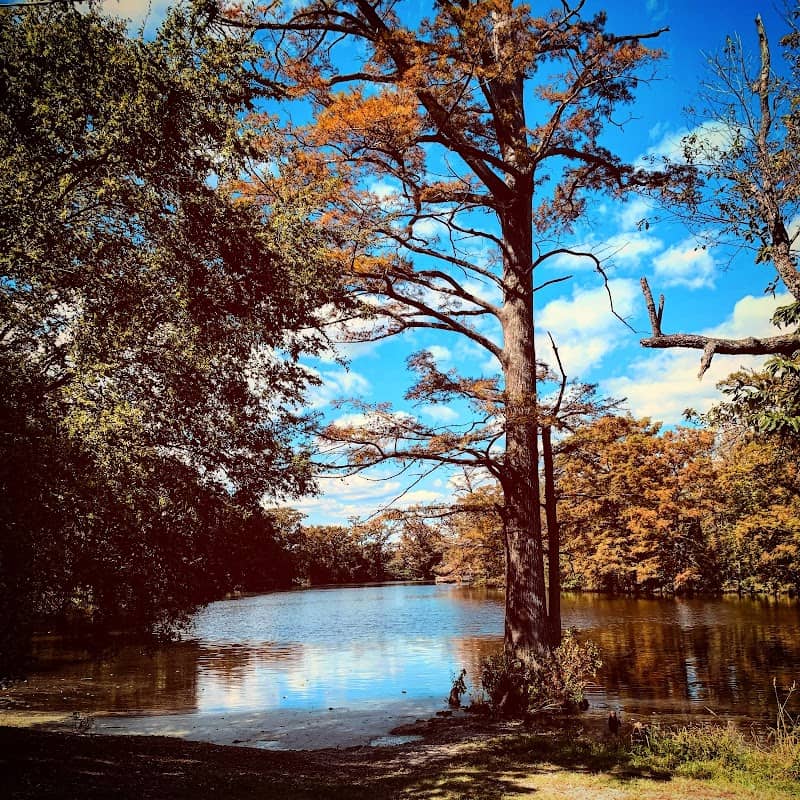 Remmel Park - Image 1