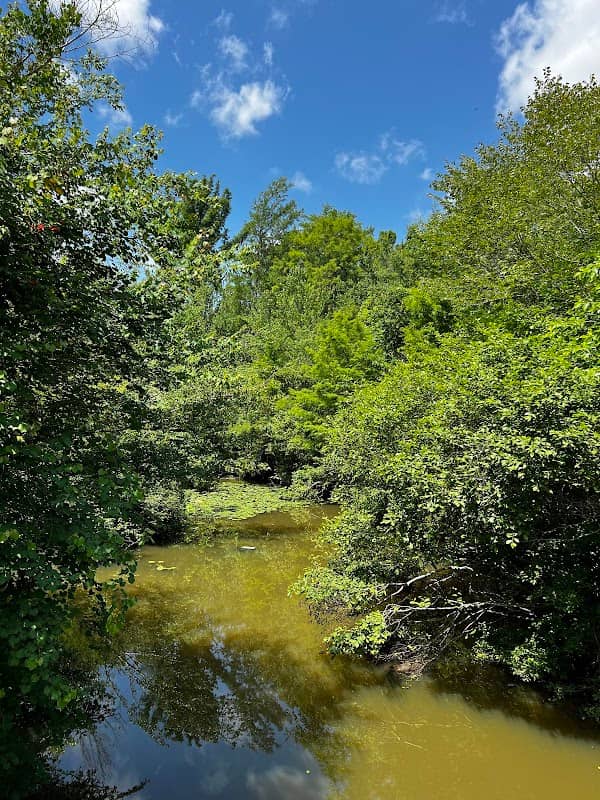 Bruisers Bridge - Image 2
