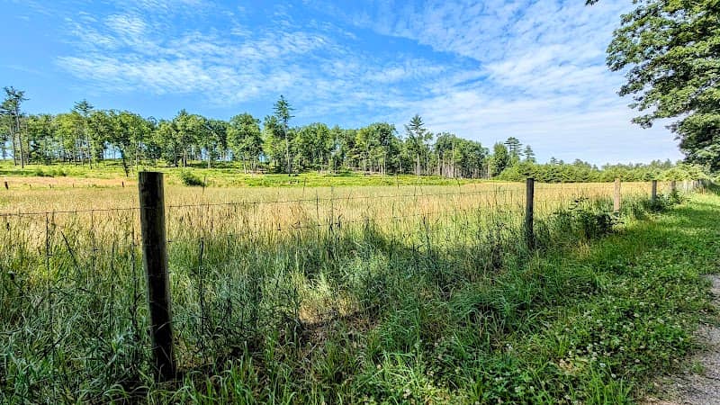 Concord - Lake Sunapee Rail Trail - Image 2