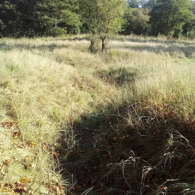 Giżycko transzeje nad kanałem Niegocińskim - Image 1