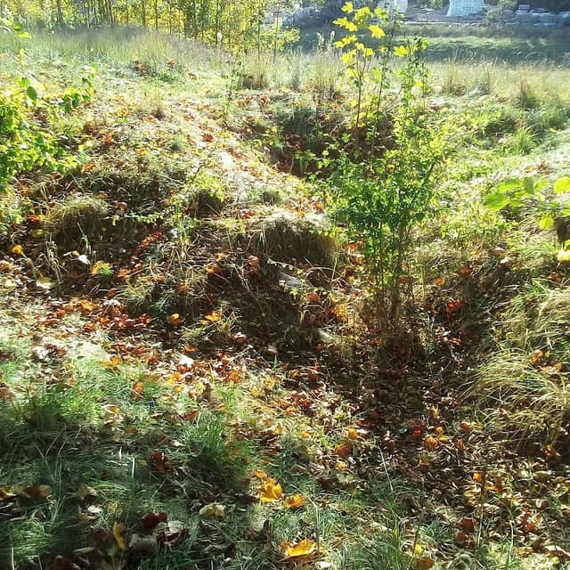 Giżycko transzeje nad kanałem Niegocińskim - Image 2