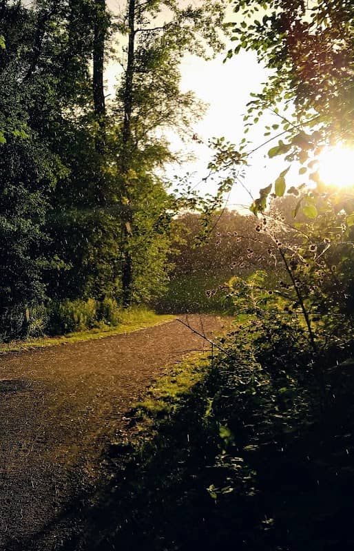 Sullivan Park - Image 1
