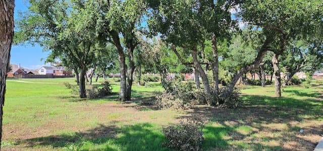 Cedar Elm Park - Image 2