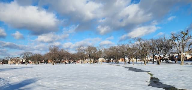 Cedar Elm Park - Image 1