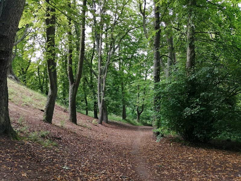 Popes Meadow - Image 2