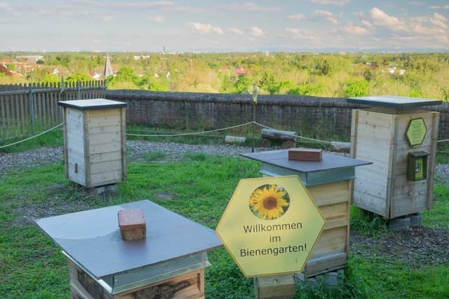 Bienenlehrpfad - Image 1