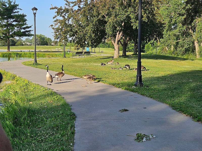 Duck Pond - Image 1