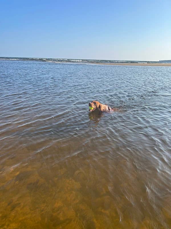 Au Train Beach - Image 1