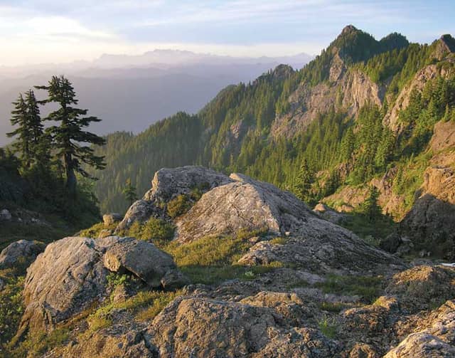 Colonel Bob Wilderness - Image 2