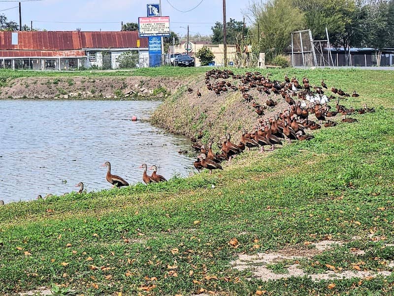 Heavin Park - Image 2